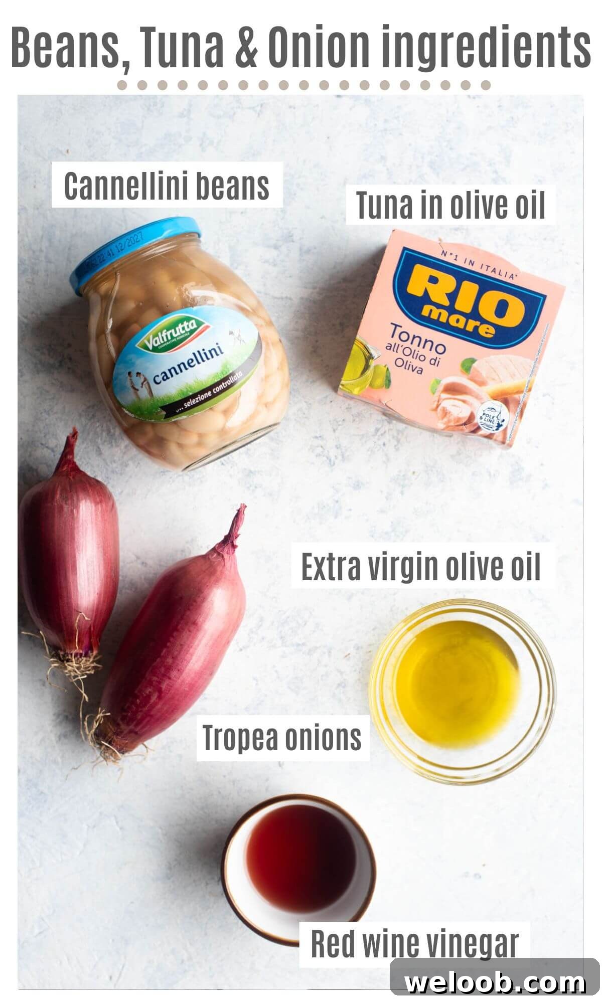 An overhead shot of all the ingredients you need to make Cannellini bean salad with tuna and onions.