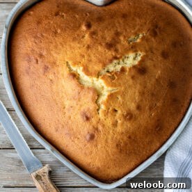 Baked cake with a knife.
