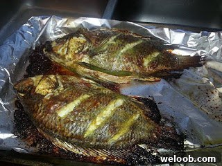 grilled-fish-in-oven