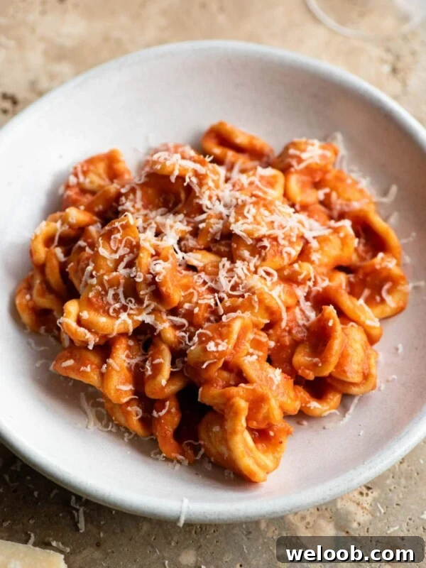 Orecchiette pasta with a creamy tomato sauce in a rustic ceramic bowl topped with cheese