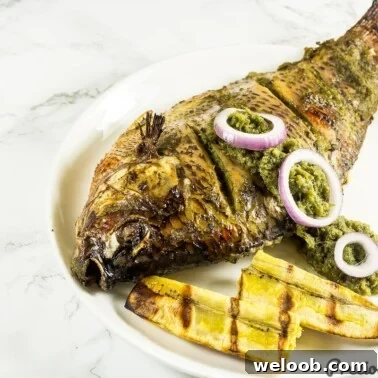 Oven Grilled Tilapia recipe