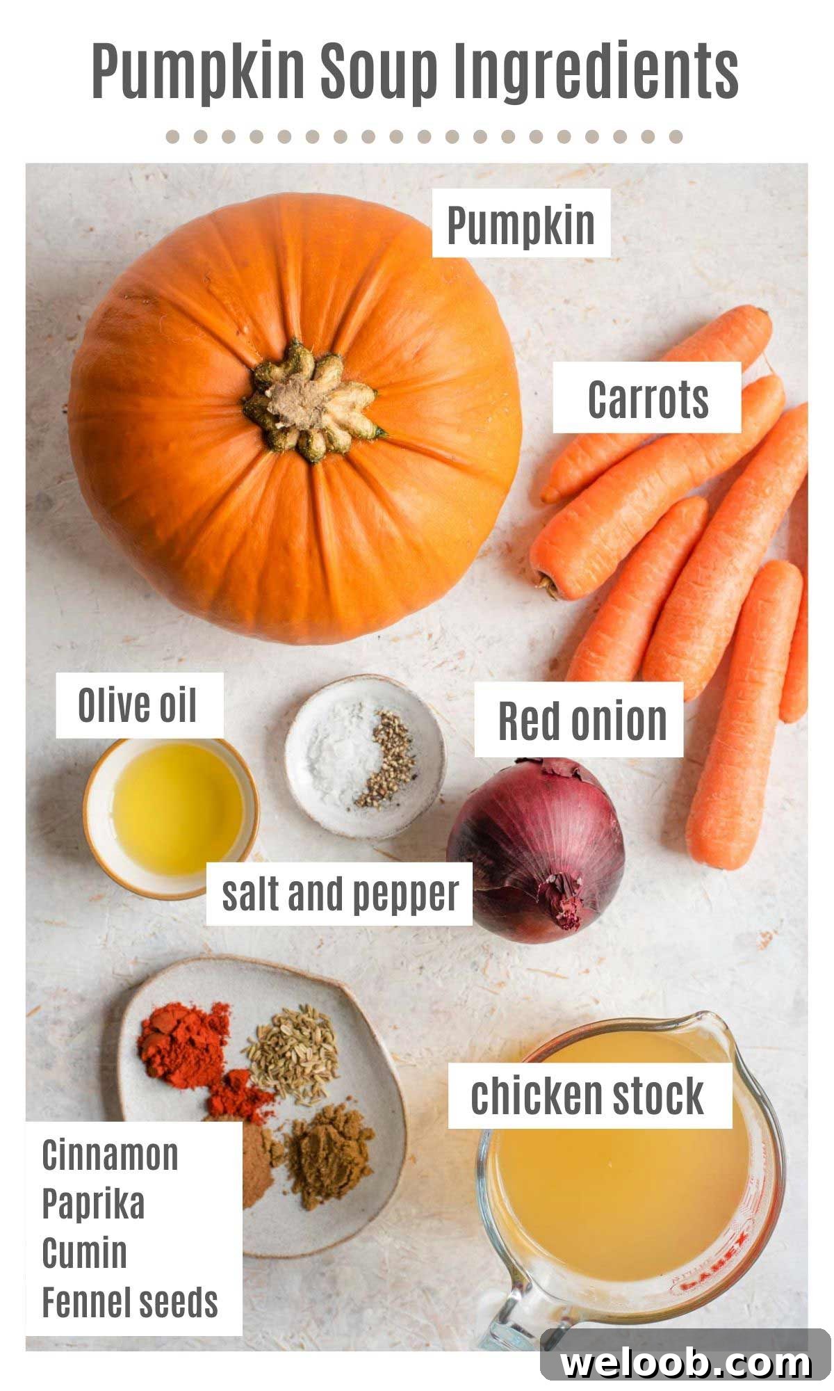 An overhead shot of all the ingredients you need to make pumpkin soup