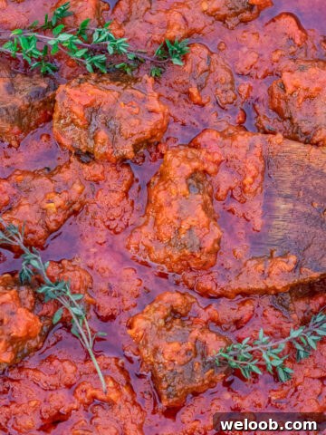 Square image of Nigerian Beef Stew