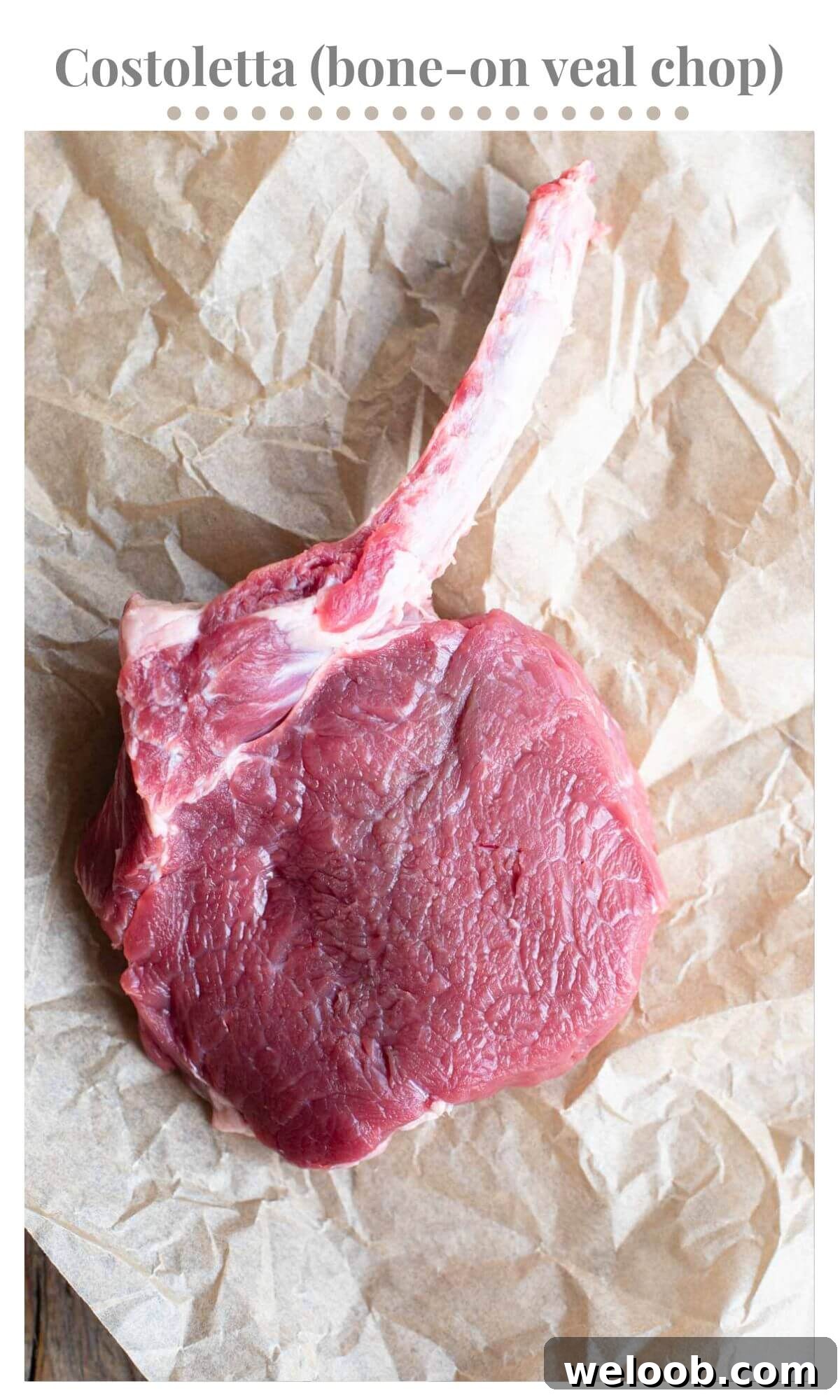 A close up of a raw veal chop with the bone still attached.