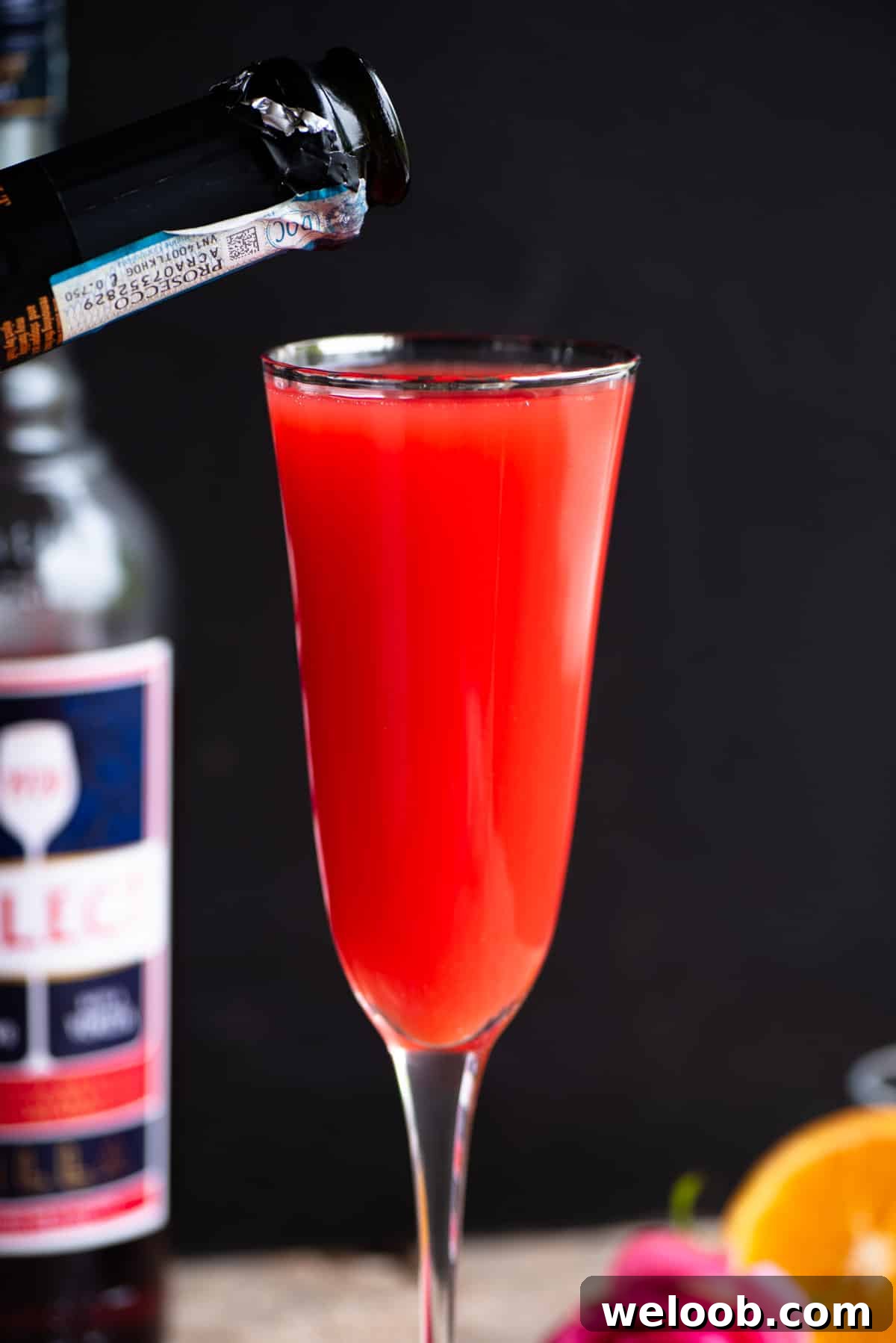 A close up of a Select Mimosa with a black background.