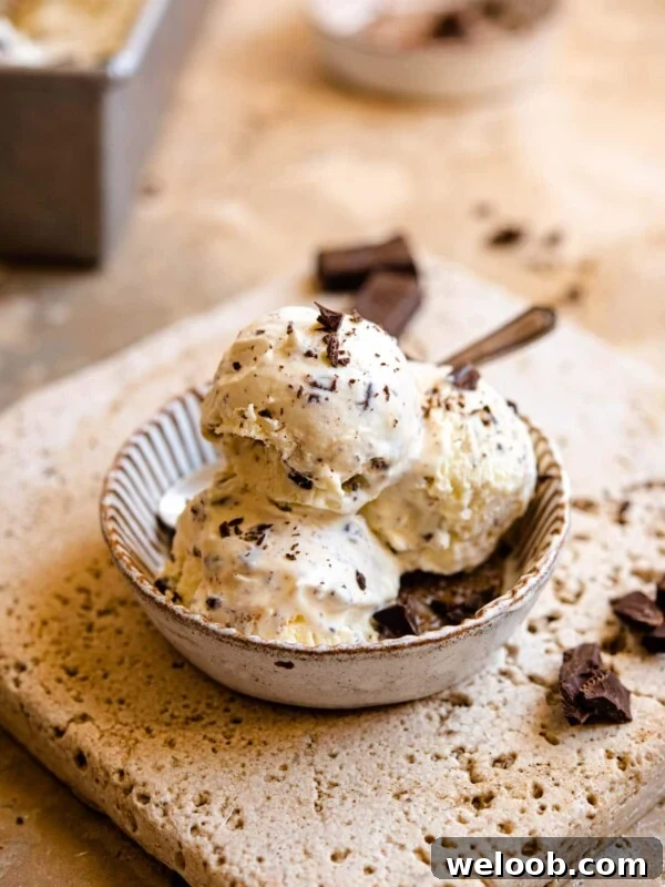 Stracciatella gelato in a rustic dish