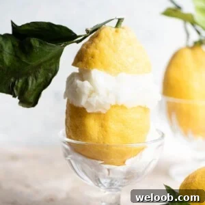 A cropped close up of an Amalfi lemon cut in half and stuffed with lemon sorbet.
