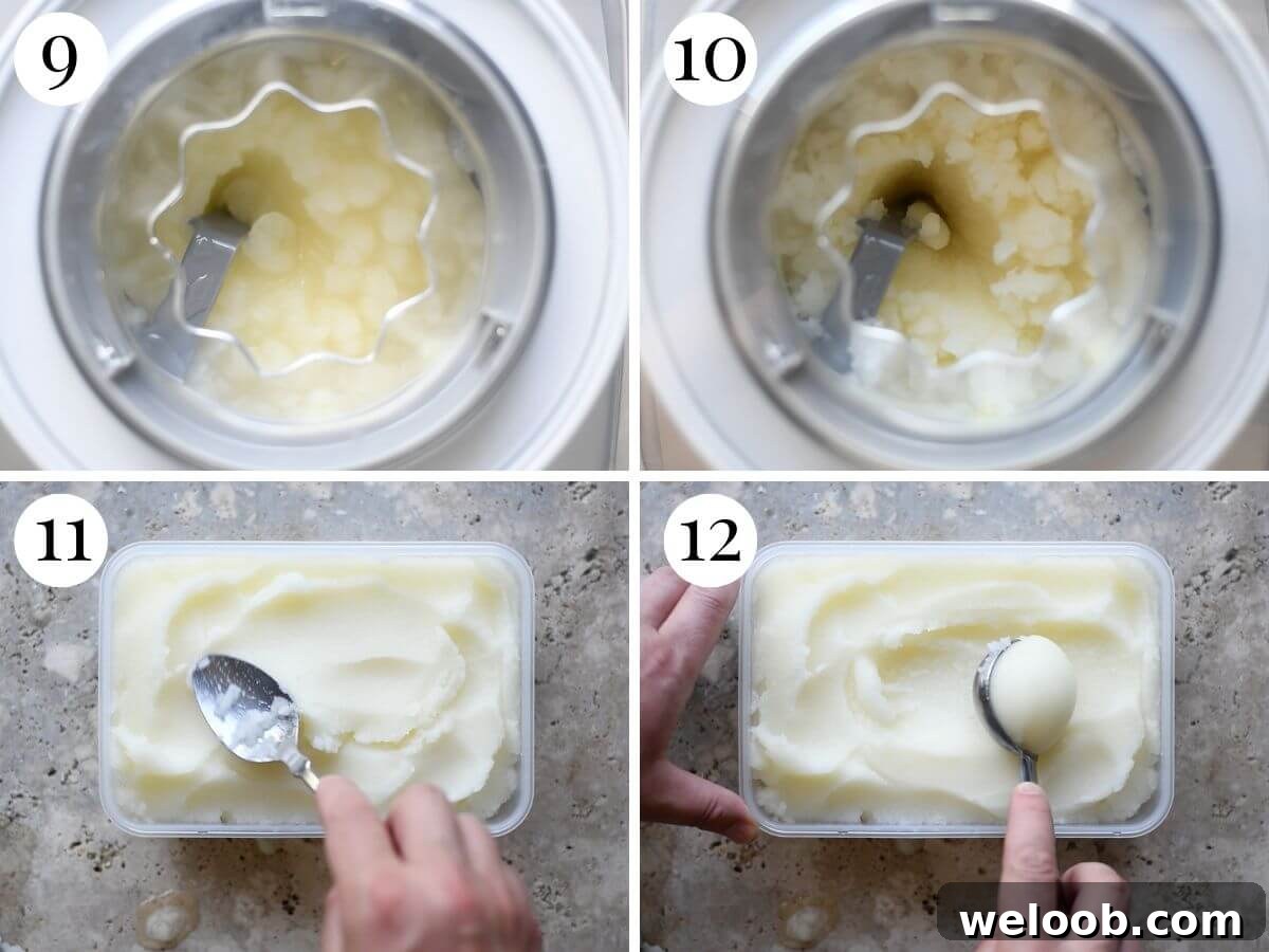 Four photos in a collage showing what the finished look and texture of homemade lemon sorbet should look like.