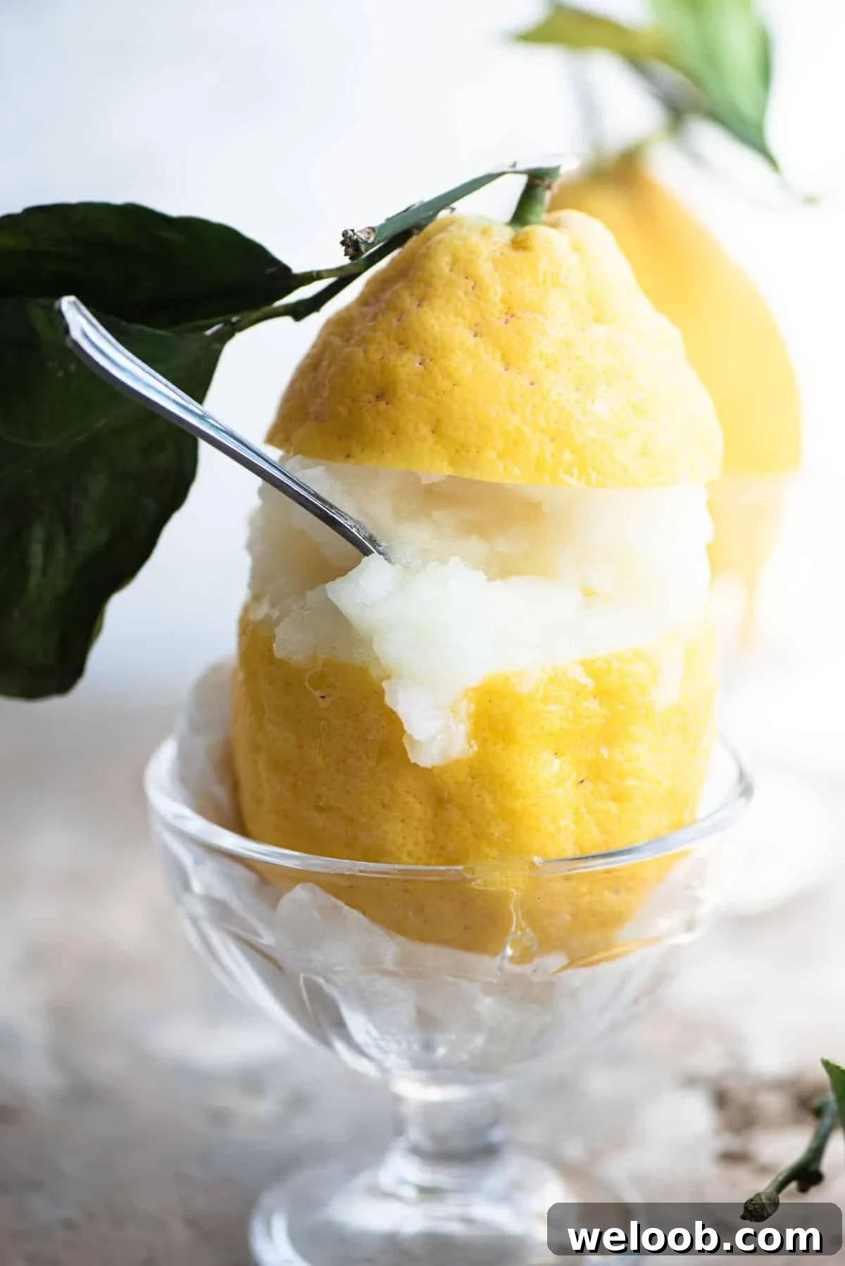 A close up of an Amalfi lemon stuffed with lemon sorbet and a spoon stuck inside.