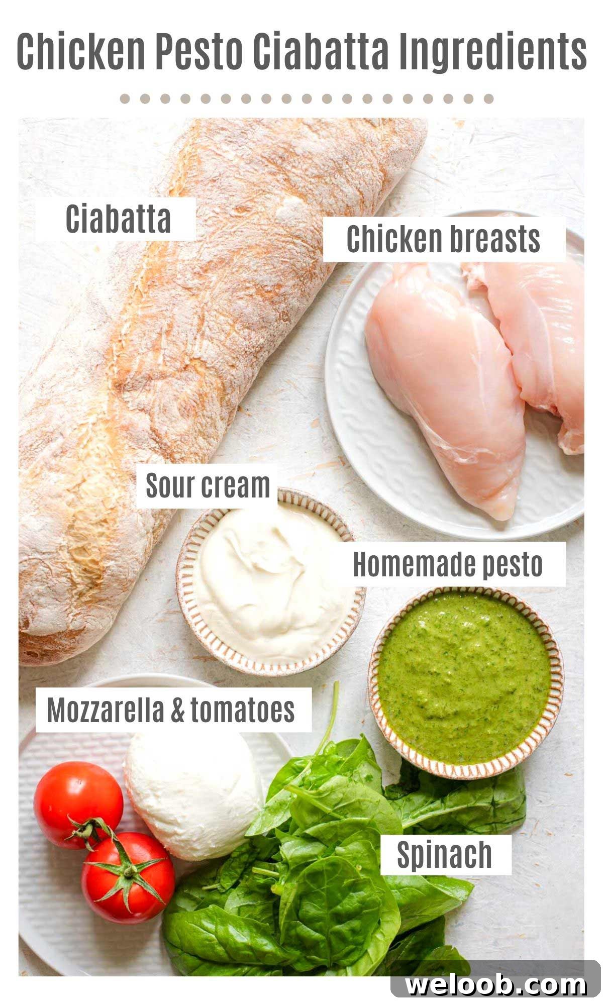 An overhead shot of all the ingredients you need to make a chicken ciabatta sandwich with pesto