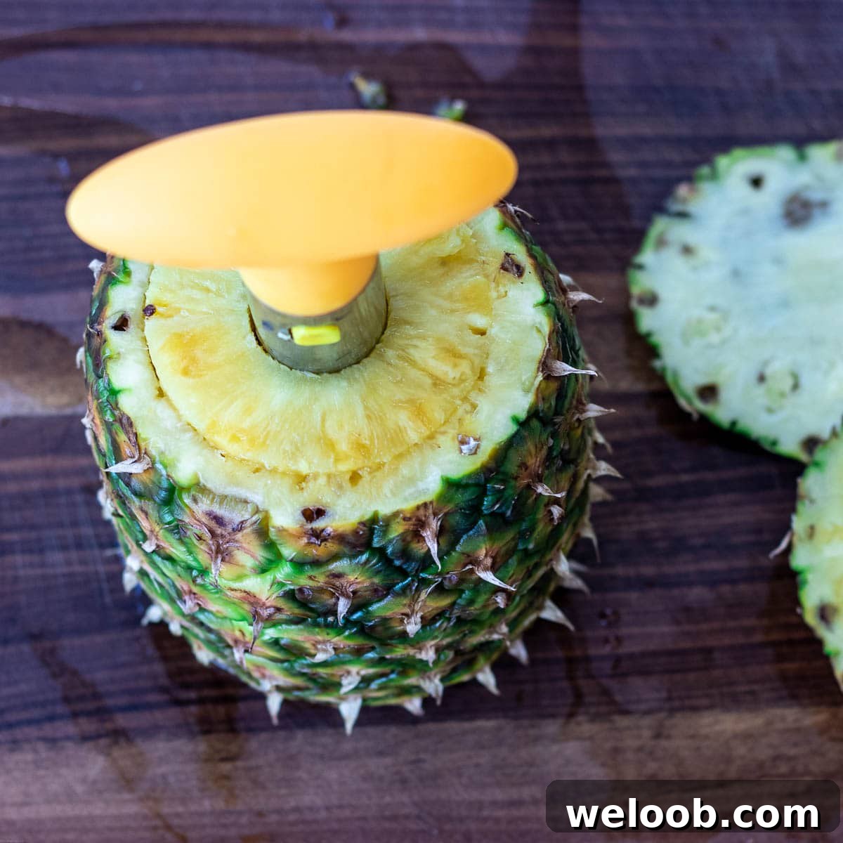 Pineapple corer in a pineapple.
