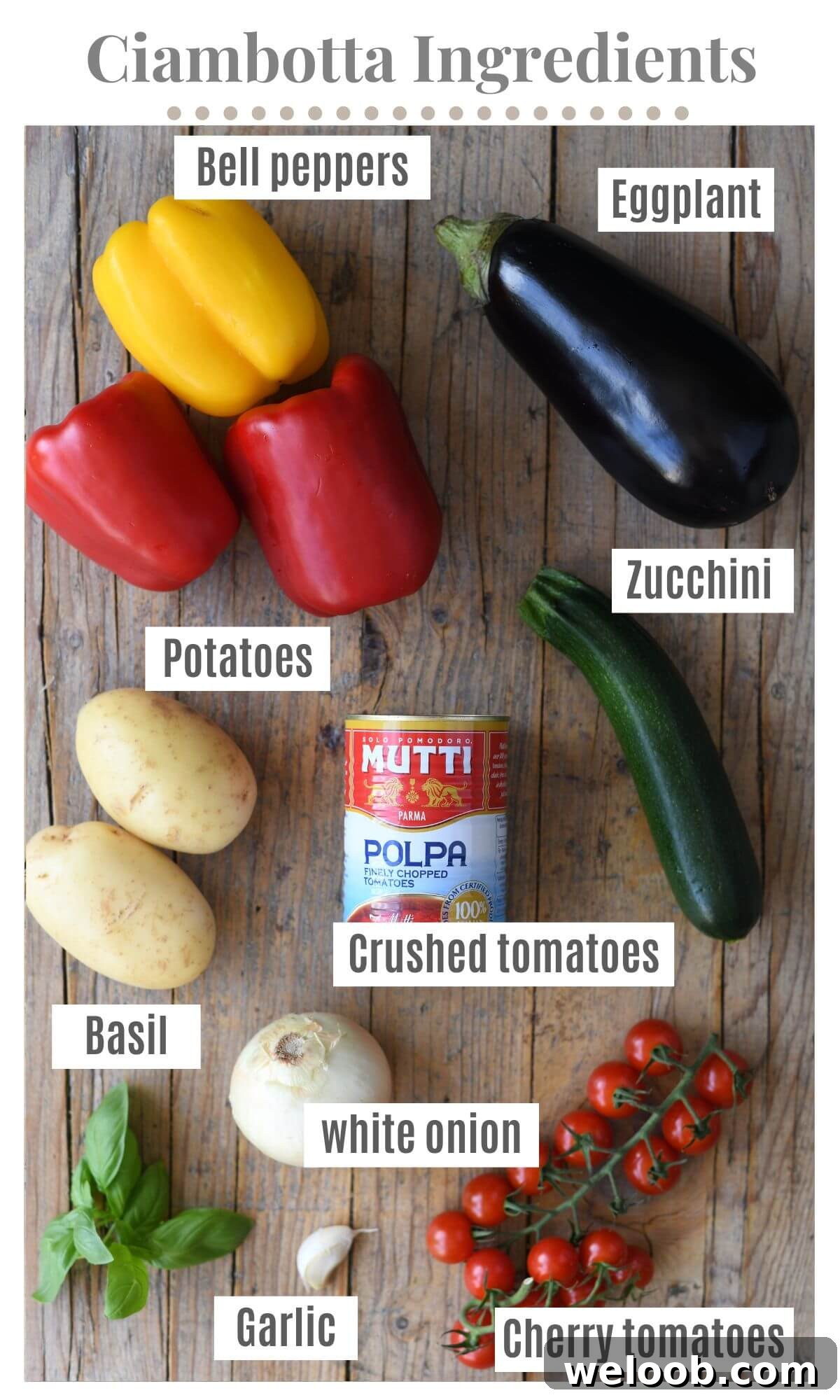 An overhead shot of all the ingredients needed to make Ciambotta.