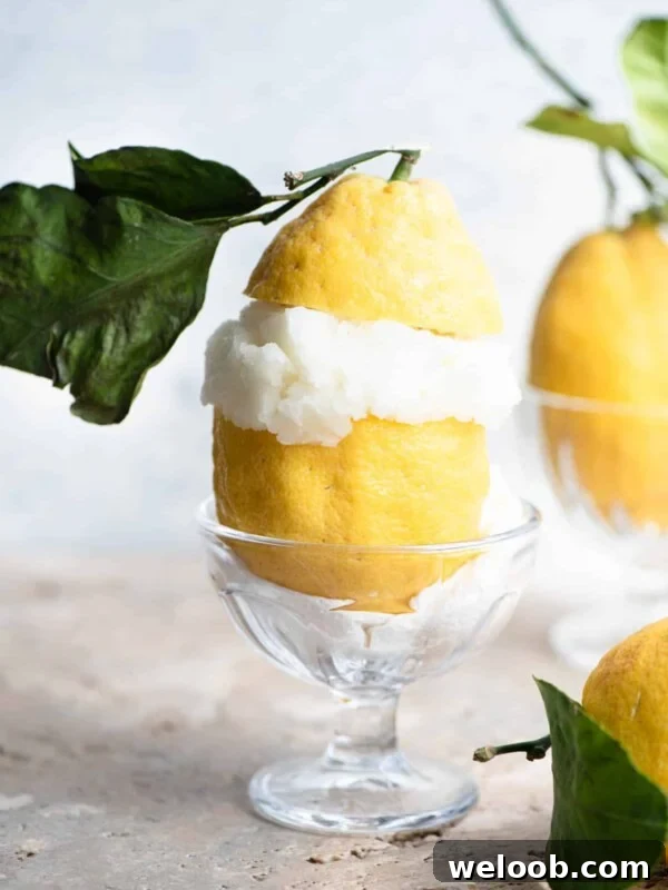 Italian lemon sorbet served in a large Amalfi lemon with leaves attached.