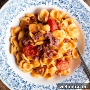 A cropped close up of orecchiette pasta in a blue and white bowl.