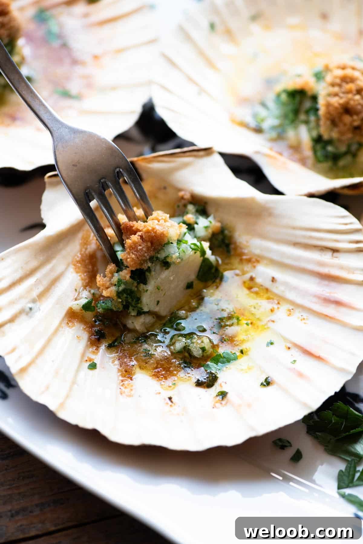 A close up of one scallop in a shell with parsley butter and a fork inserted into it.