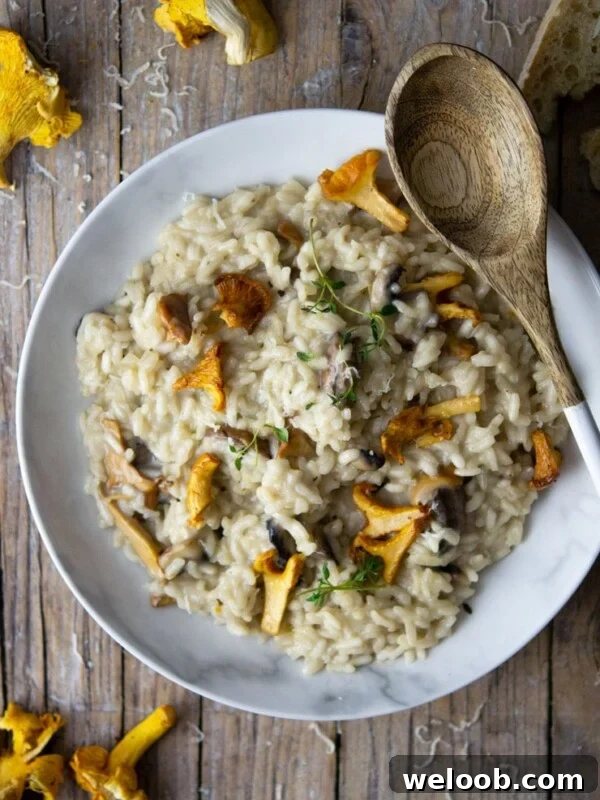 An overhead shot of creamy mushroom risotto with chanterelle mushrooms