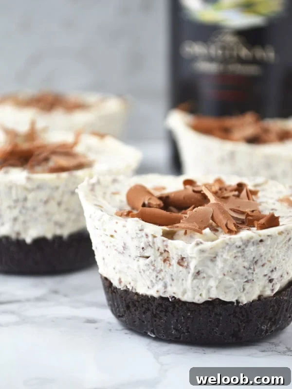 Baileys cheesecakes on a marble surface