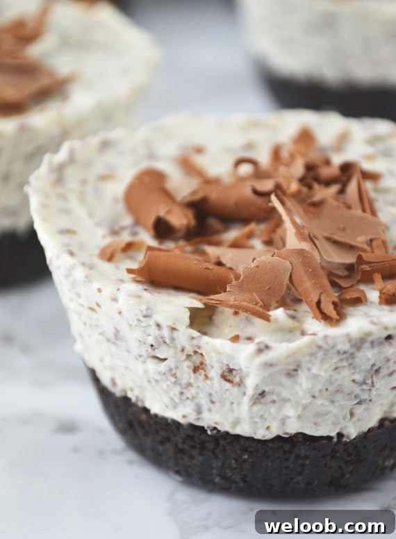 A close up of baileys mini cheesecakes topped with chocolate