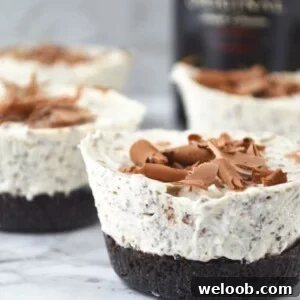 These Boozy Baileys Mini Cheesecakes