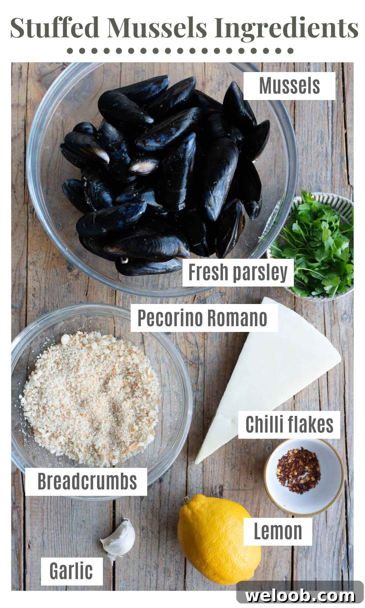 An overhead shot of all the ingredients needed to make Italian stuffed mussels.