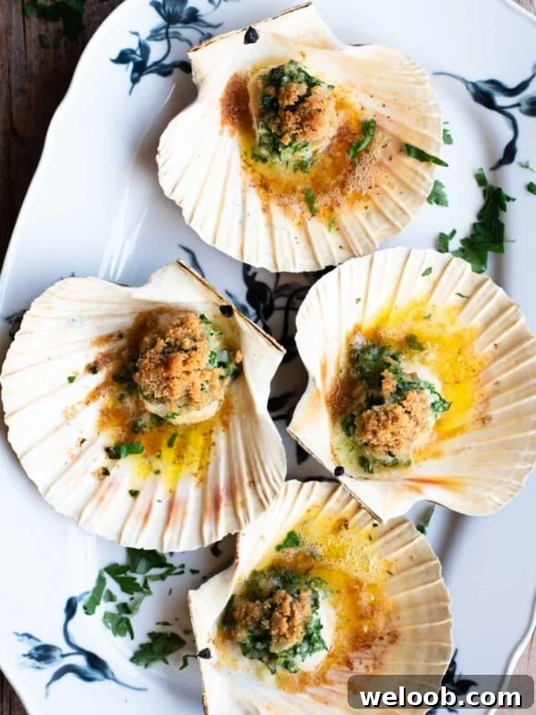 An overhead shot of four scallops in their shells sitting on a white serving platter.