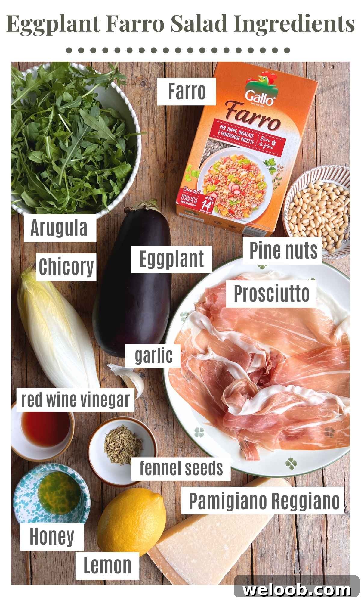 An overhead shot of all the ingredients needed to make an eggplant farro salad.
