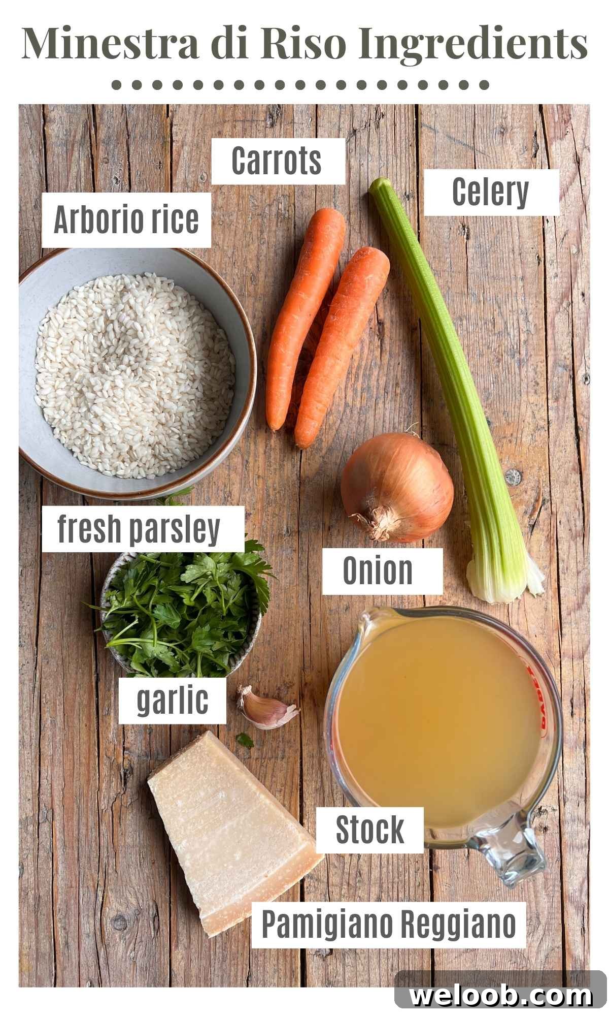 An overhead shot of all the ingredients needed to make a simple Italian rice soup.