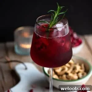 A close up cropped image of a Pomegranate spritz.