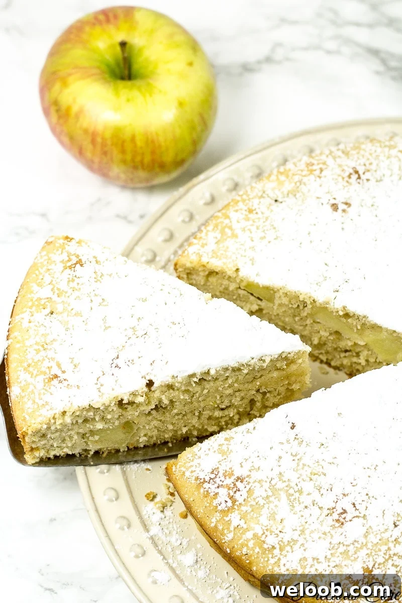 Triangle slice of cake cut out.
