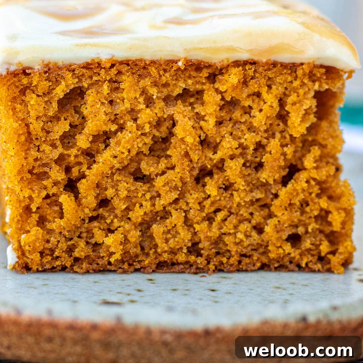 Slice of pumpkin cake with cream cheese frosting.