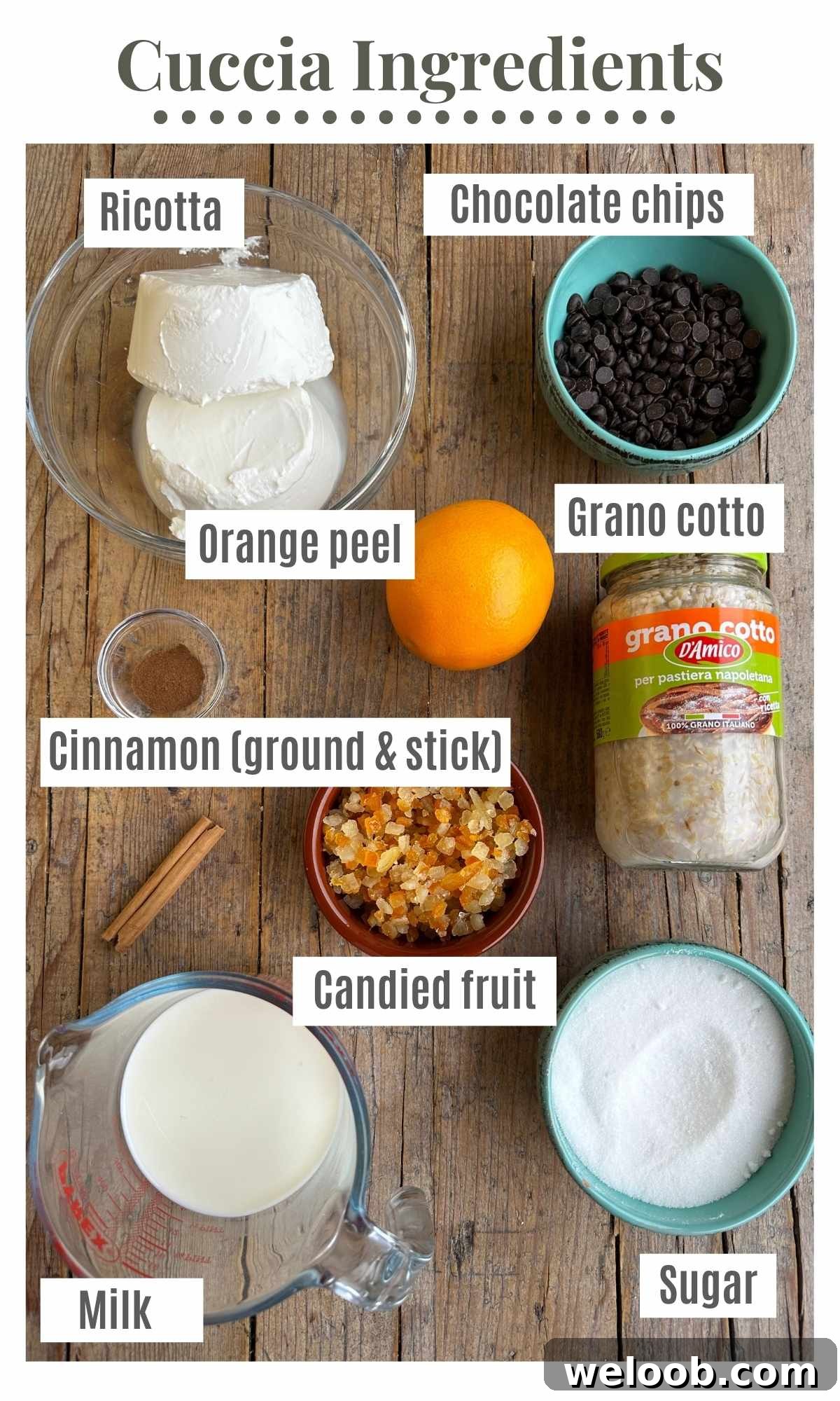 An overhead shot of all the ingredients needed to make Cuccia.