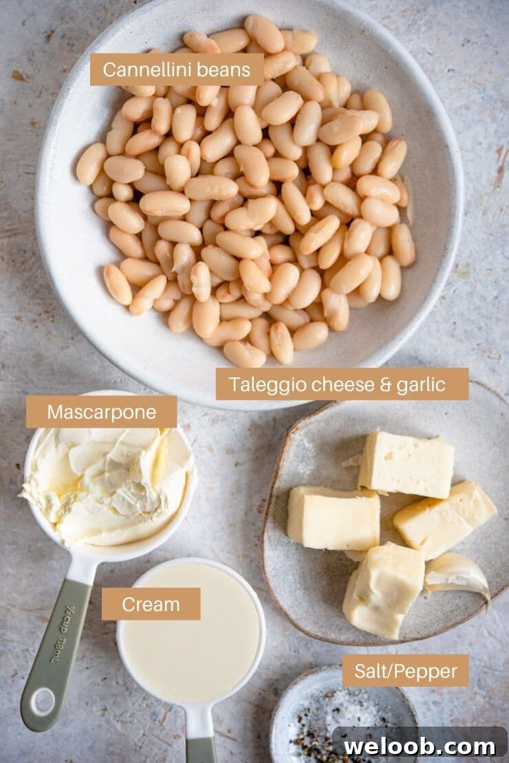 Ingredients for making a white bean dip