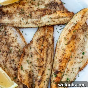 Pan Seared Sea Bass filets on a white plate.