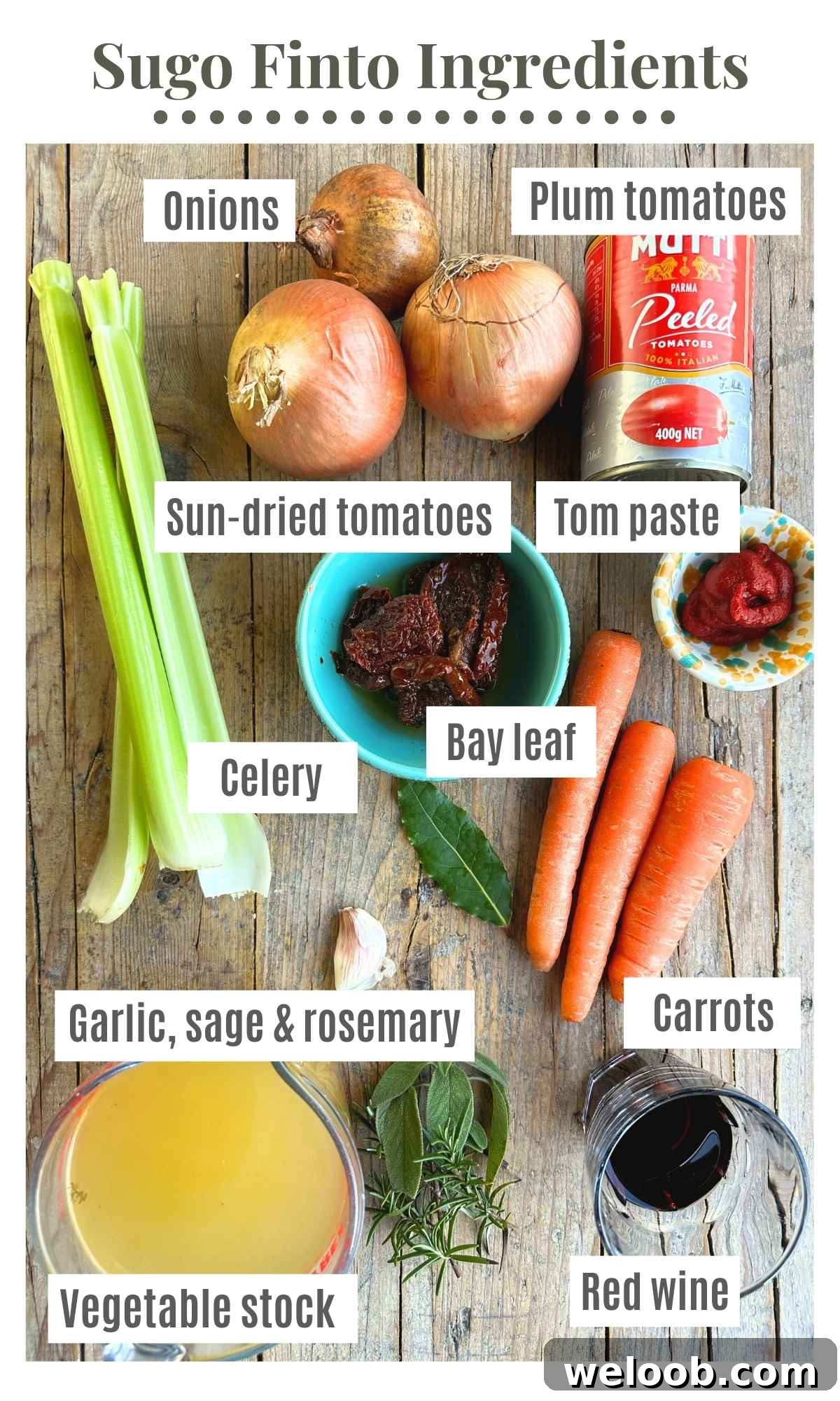 Sugo Finto: Authentic Italian Vegetable Pasta Sauce Recipe 3 An overhead shot of all the ingredients needed to make Sugo Finto.