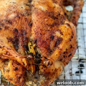 Square image of roast duck.