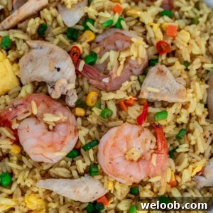 Shrimp and chicken fried rice in a white dish.
