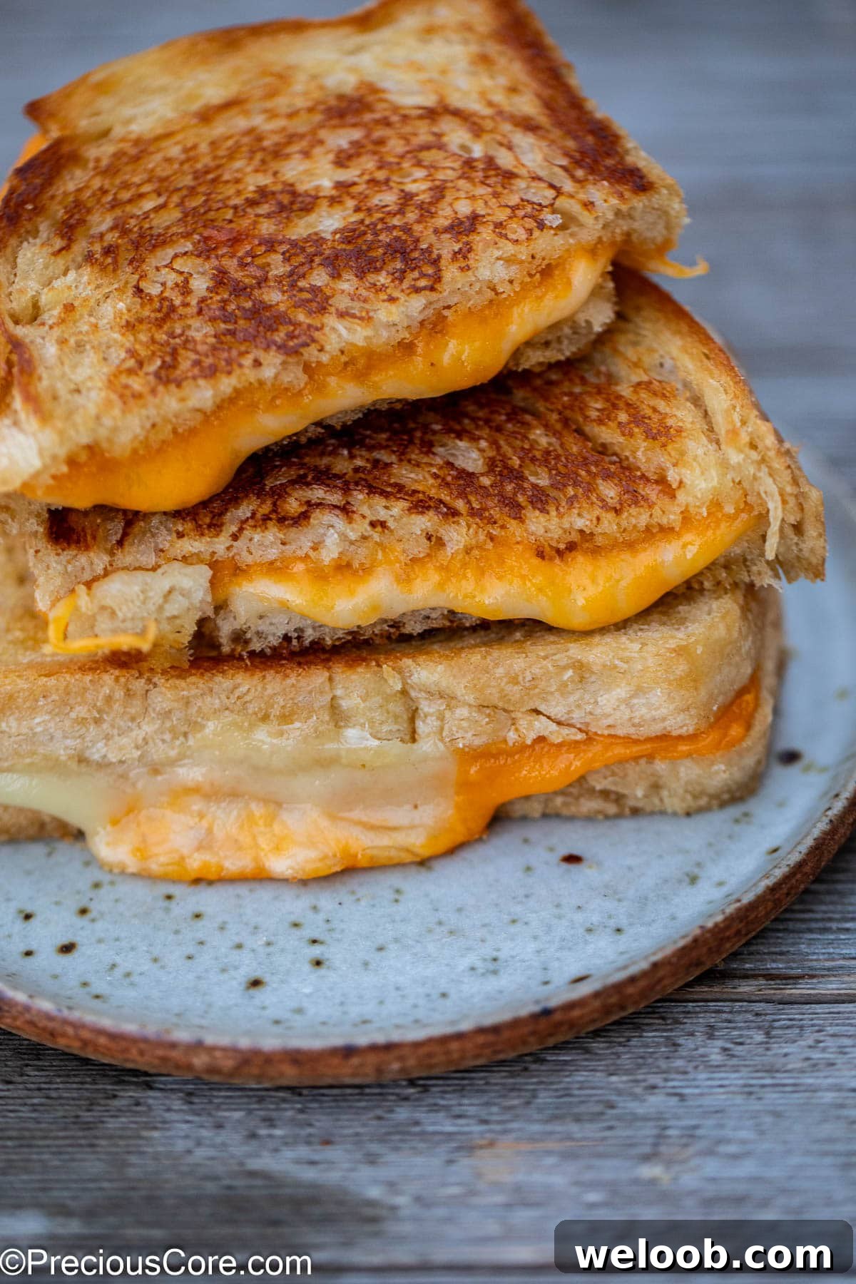 A stack of slices of grilled cheese.