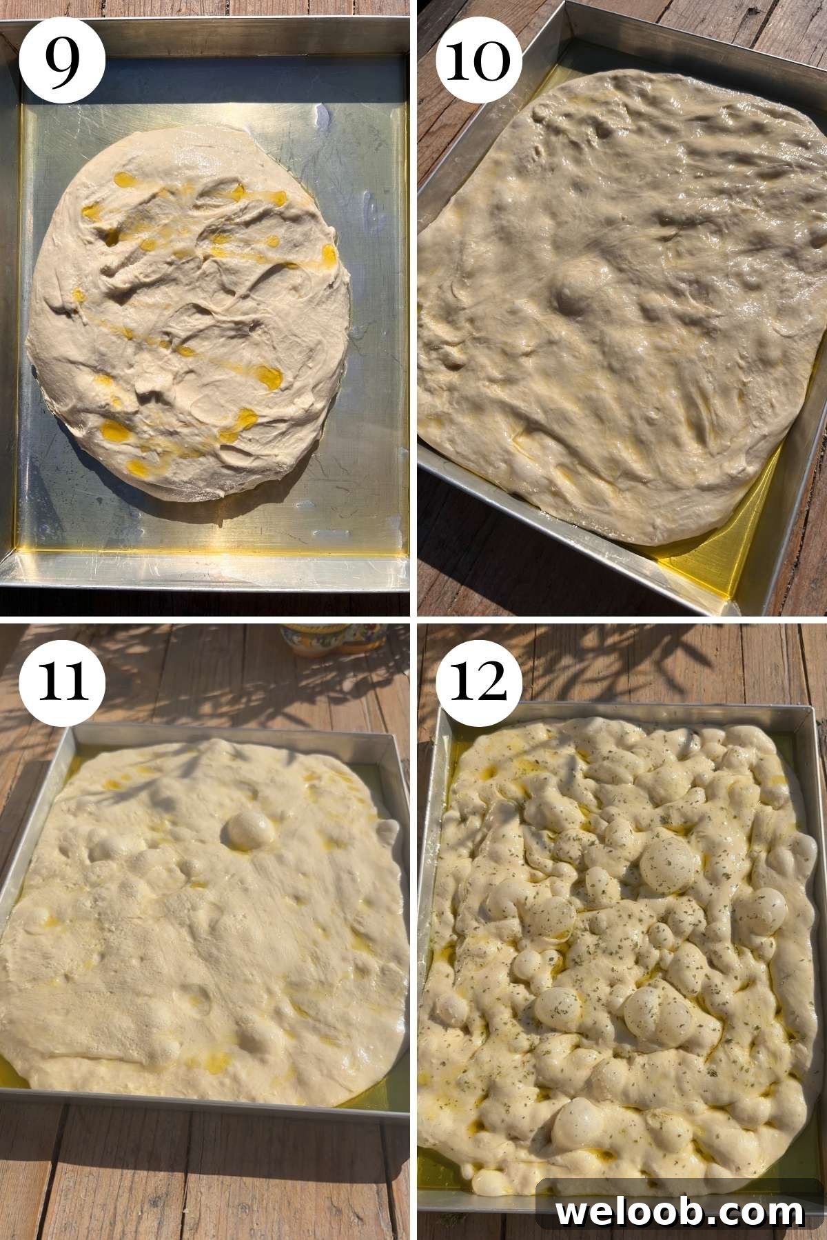 Four photos in a collage showing focaccia dough in a tray before and after proofing.
