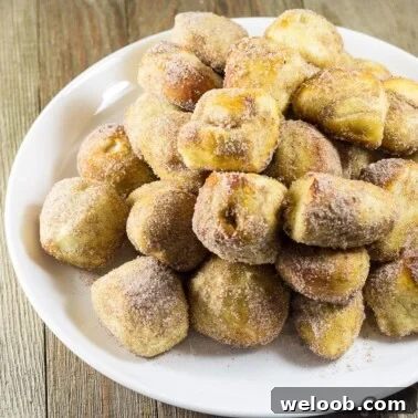 Recipe for Cinnamon Sugar Pretzel Bites