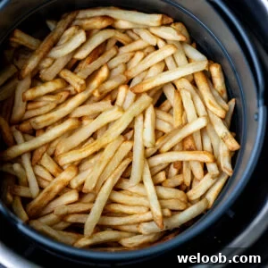 Air fried fries in round air fryer basket.