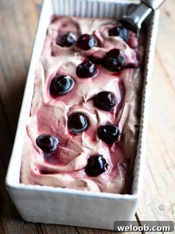 Cherry chocolate ice cream in an ice cream dish with an ice cream scoop at the side.