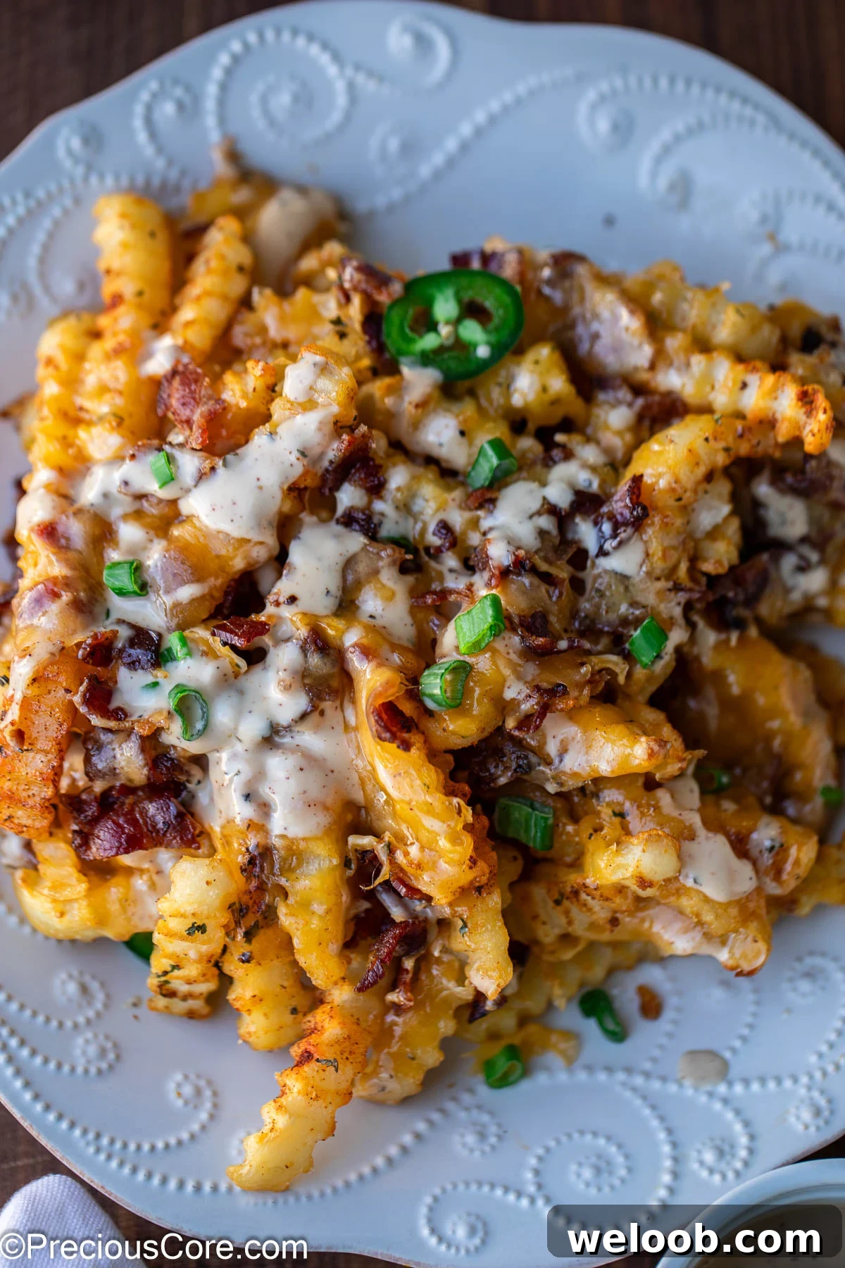 Loaded French Fries on a white plate.