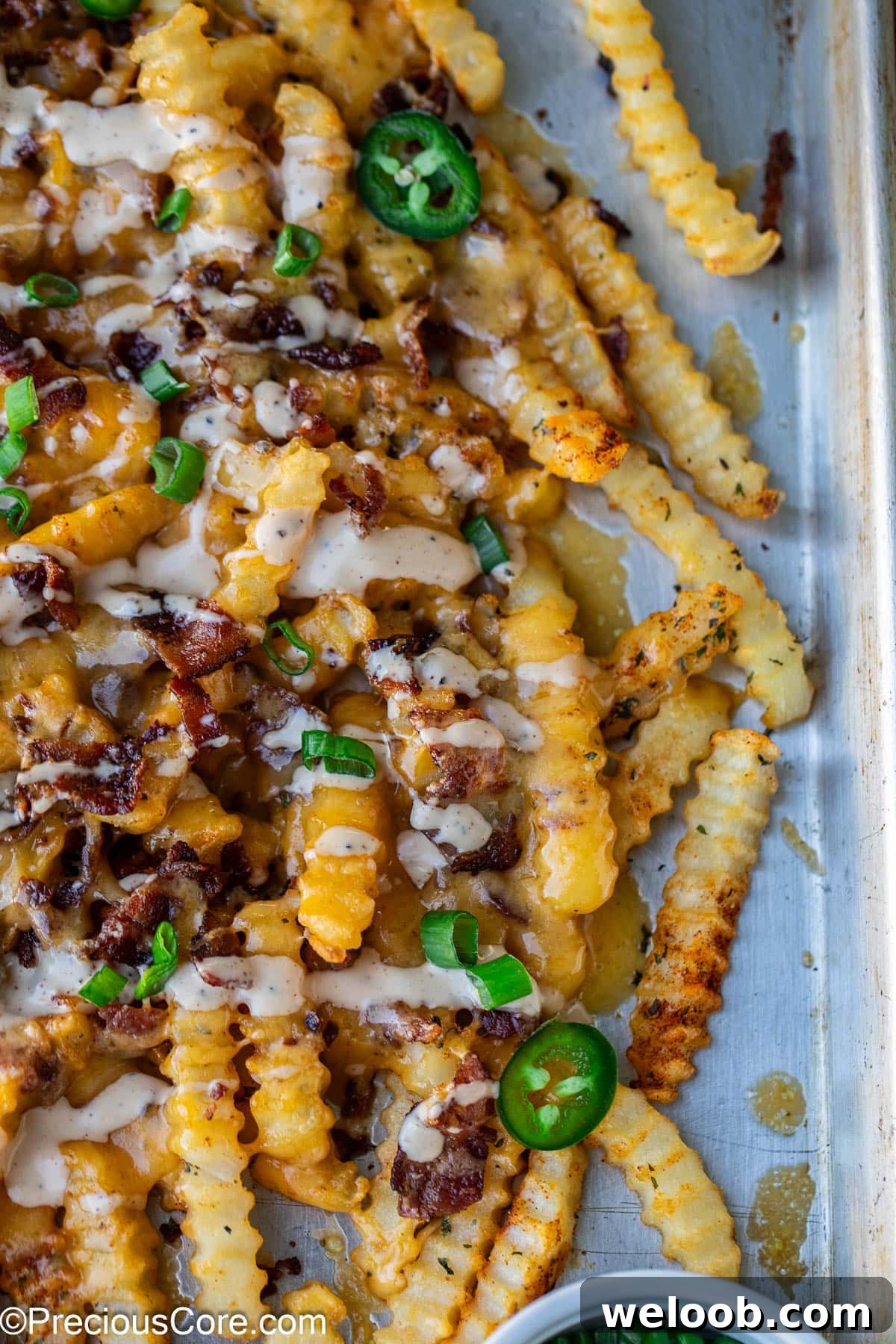 French fries covered with melty cheese.
