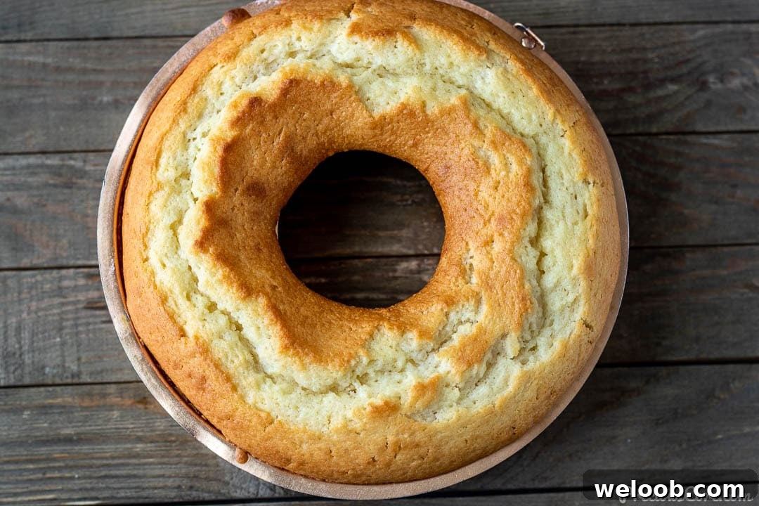 Freshly baked yogurt cake in baking pan.
