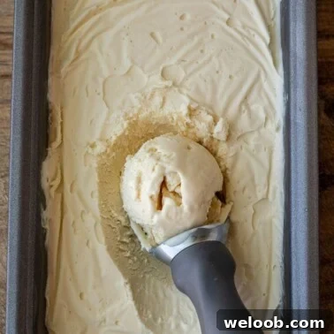 Vanilla ice cream in a load pan with scoop on top