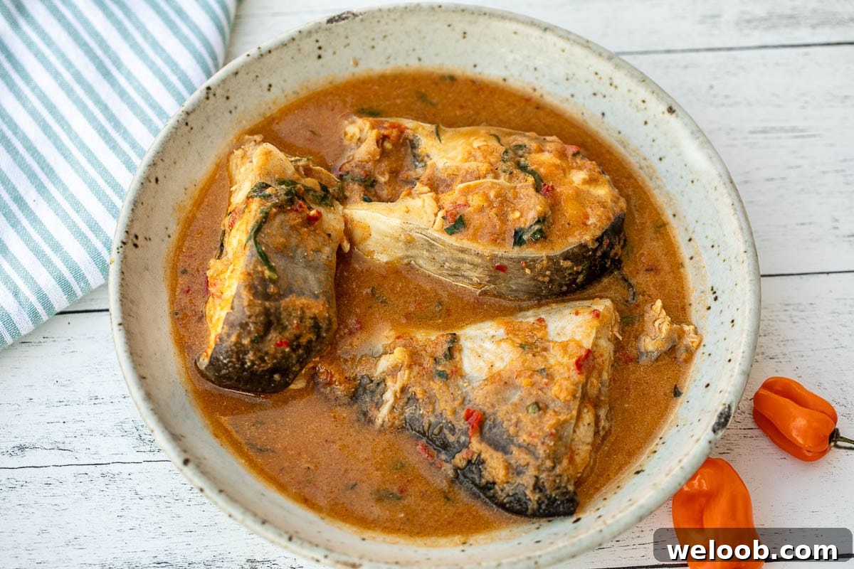 Landscape photo of Nigerian pepper soup.