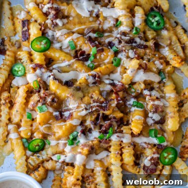 Square image of loaded french fries.