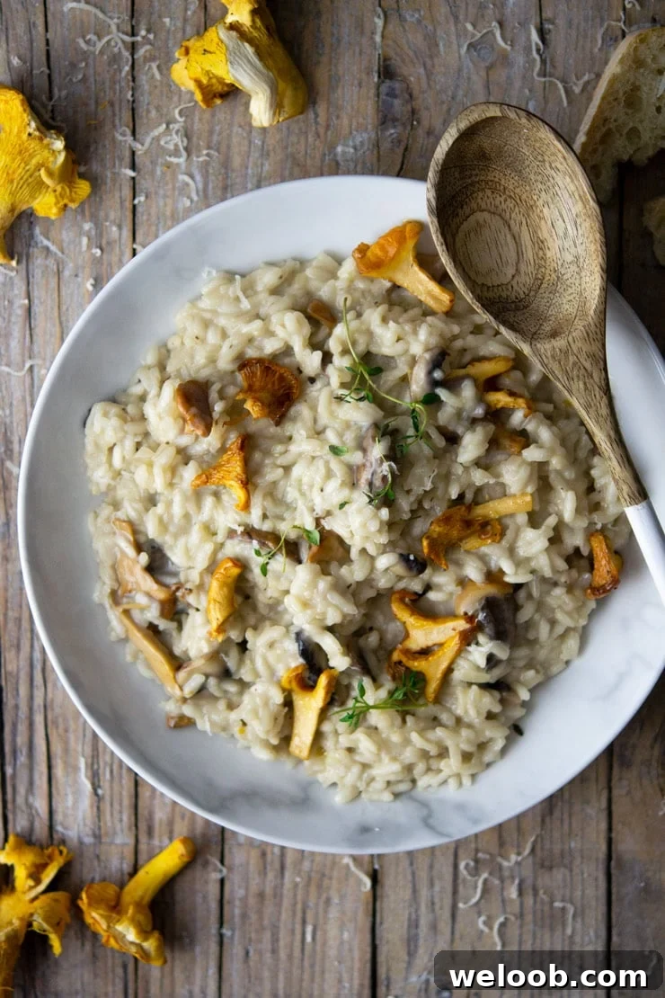 AN overhead shot of creamy mushroom risotto with chanterelle mushrooms