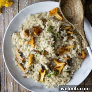 An overhead shot of creamy mushroom risotto with chanterelle mushrooms