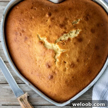 Heart shaped baked cake and a knife.